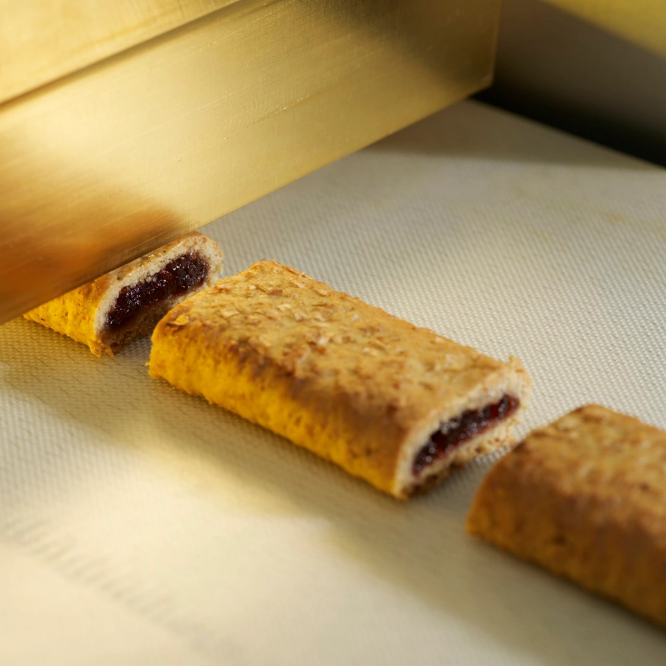 Food Processing